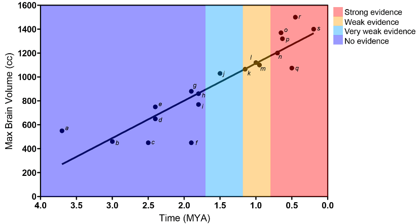 Cornelio et al. 2016 brain and fire