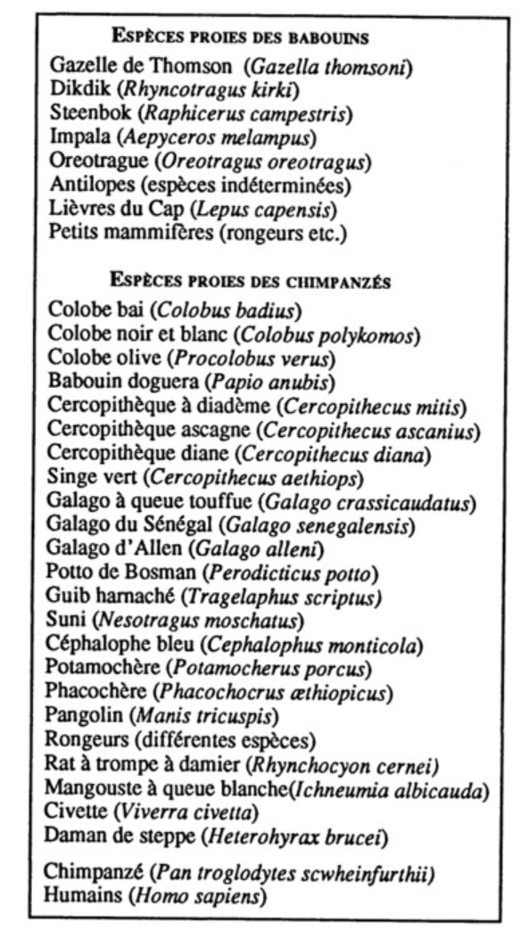 Ducros 1992 espèces proies des chimpanzés et baboins
