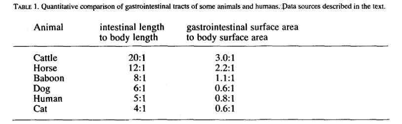 Henneberg 1998 human adaptations meat length