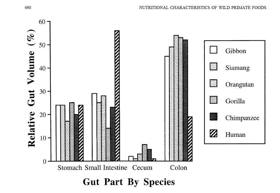 Milton 1999 compared guts