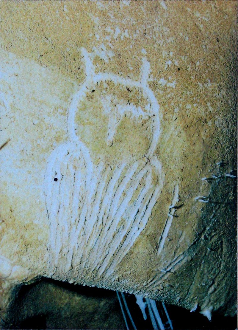 Owl_engraving,_Chauvet_Cave_(museum_replica)