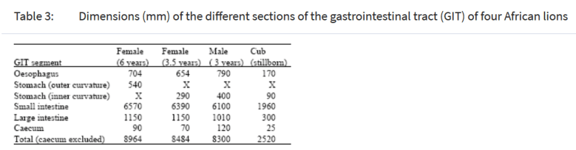 Smith et al. 2003 panthera leo intestine length