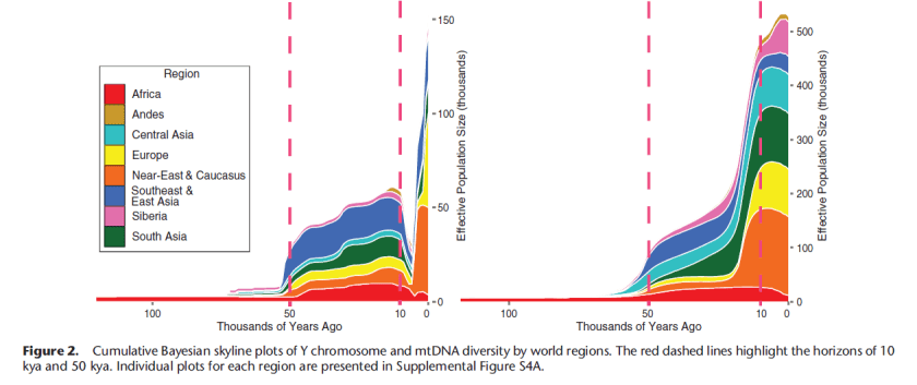 Neolithic Y chromosome botteneck, Karmin, 2015