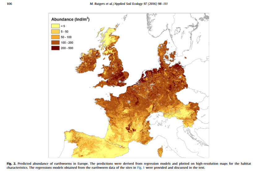 Vers de terre théorique europe