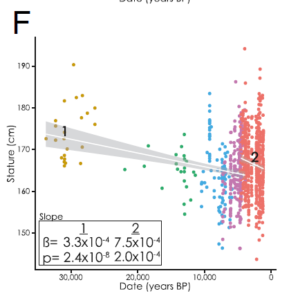 Décroissance stature paléo Cox et al. 2019