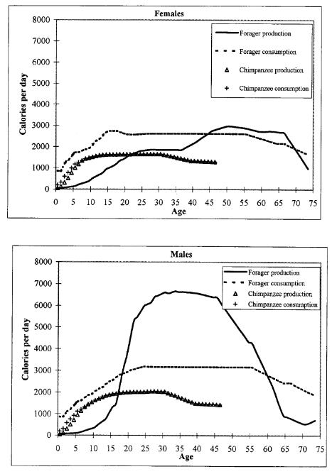 Kapla contribution 2000