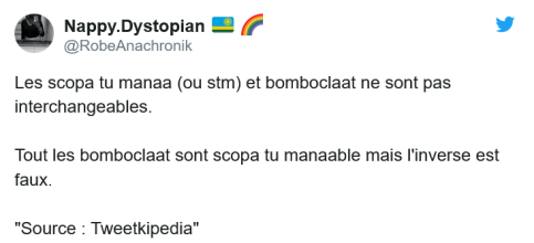 Bomboclaat et scopa tu manaa