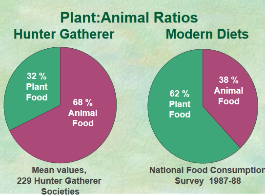 Miller Cordain comparison HG modern
