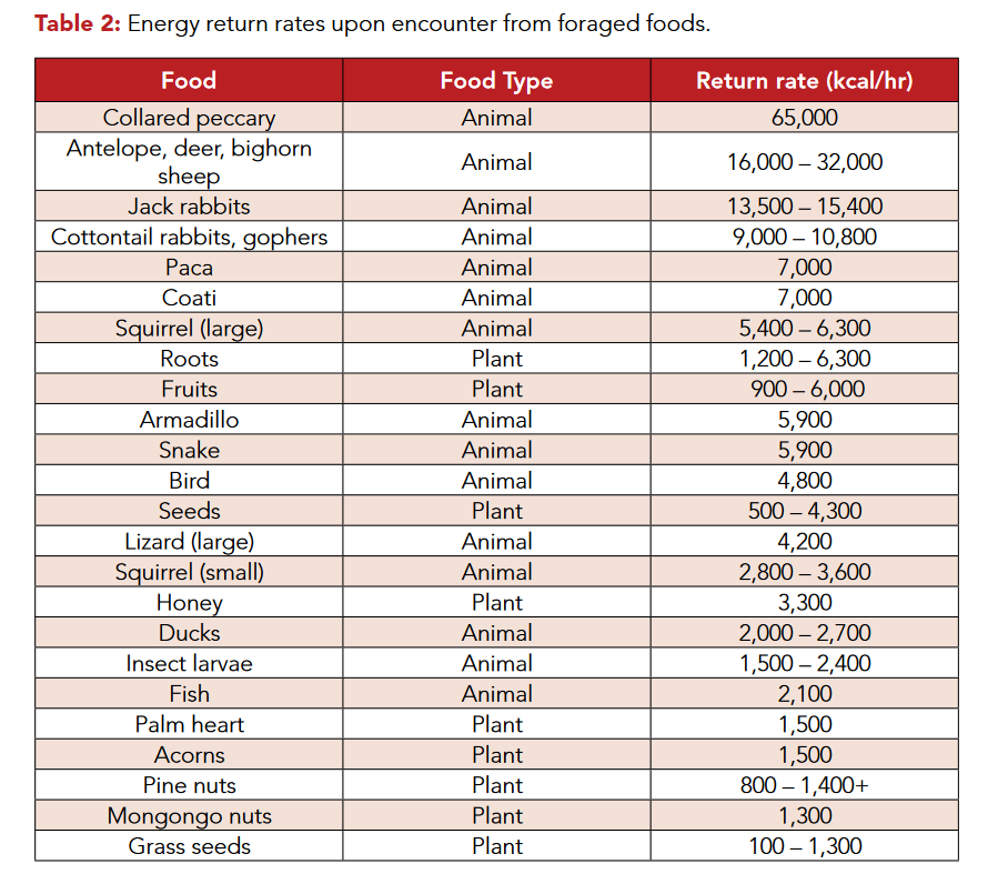 Energy return rate hunter gatherers
