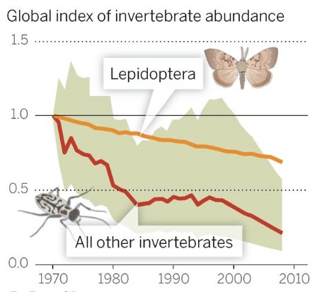 Diminution invertébrés depuis 1970
