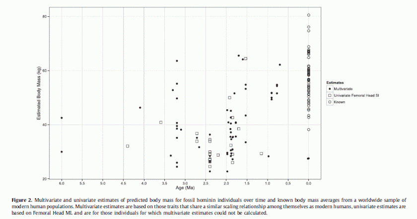 Grabowski et al, 2015 taille des premiers Homo