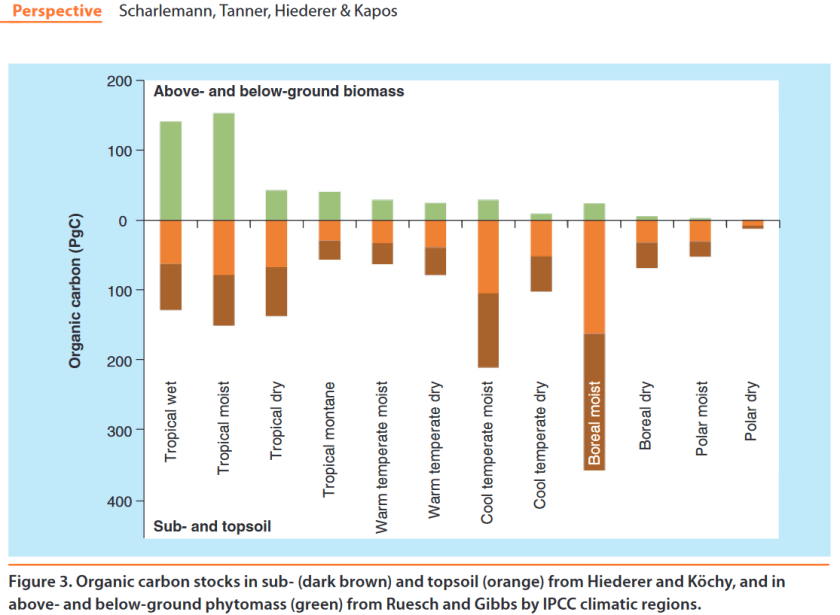 Stocks carbone aérien et souterrain