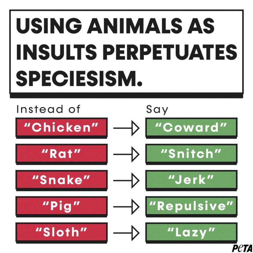 Using animals as insults