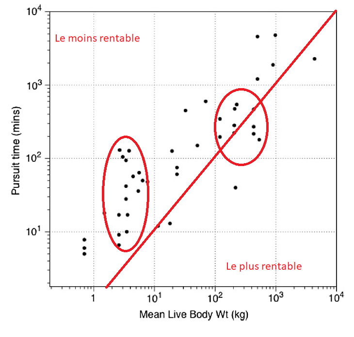 Rentabilité Lupo 2016 2