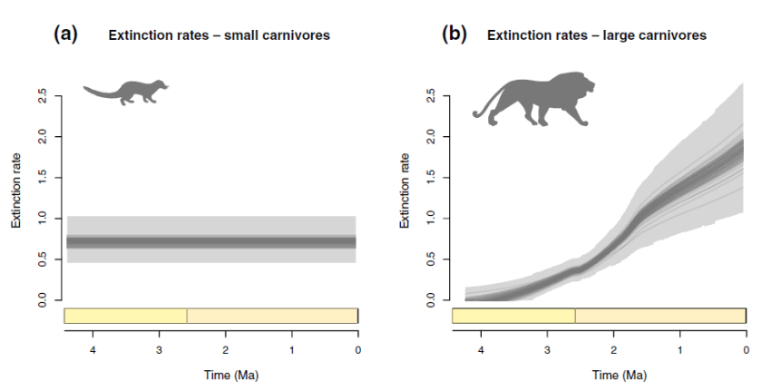 Faurby 2020 visuel extinction rates