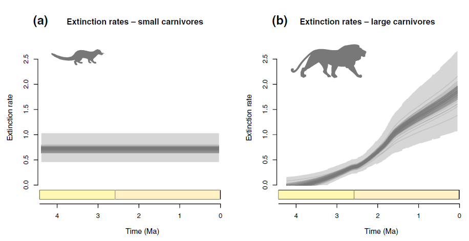 Faurby 2020 visuel extinction rates