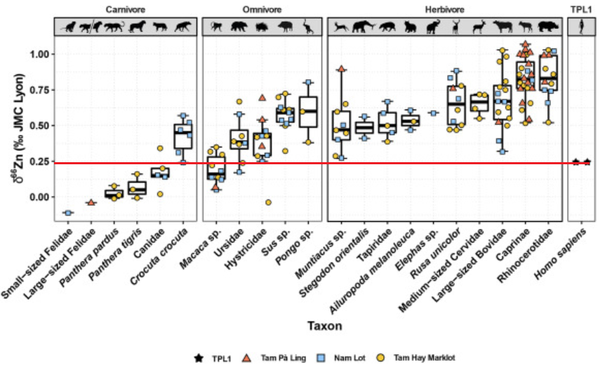 Bourgon et al Asie sud est sapiens fin middle