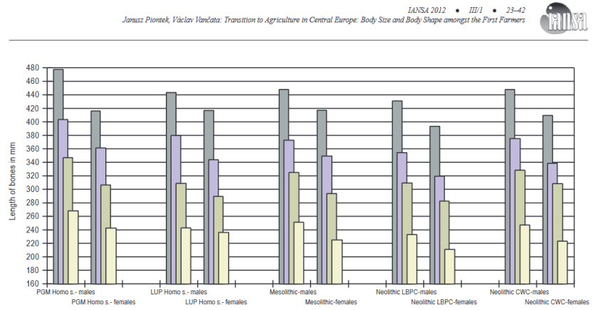Piontek &amp; Lancata 2012 neolithic and dimorphism