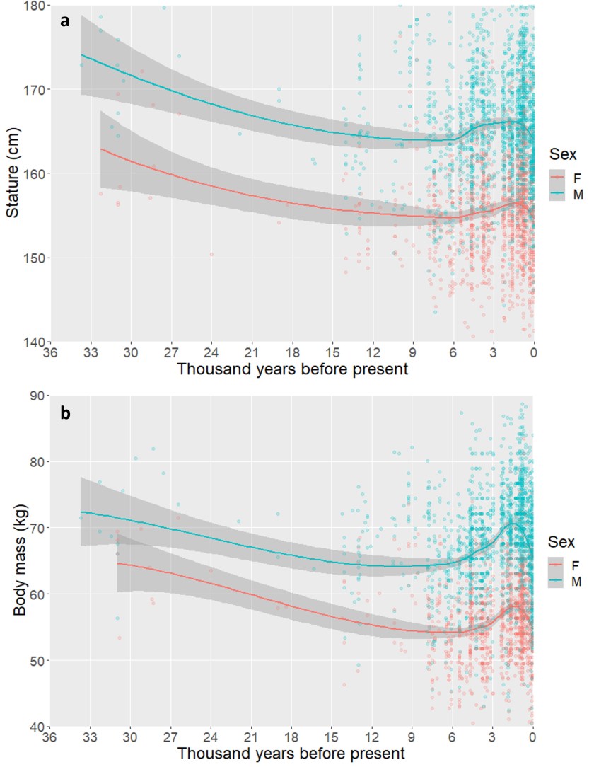 Stock et al. Milk stature evolution 2023