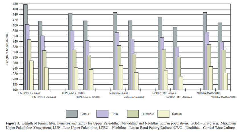 Dimorphisme Piontek 2012